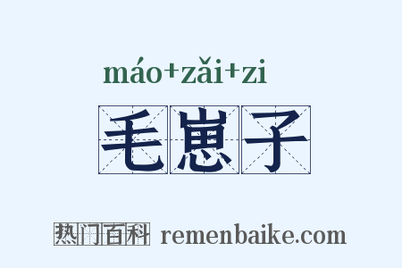 毛崽子是什么意思的图片